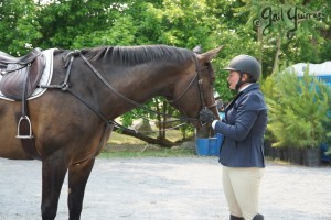 VFE Simply Stunning ridden by owner Mandy Steinhoff, Jumpers Upperville Colt and Horse Show