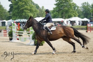 VFE Simply Stunning ridden by owner Mandy Steinhoff, Jumpers Upperville Colt and Horse Show