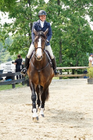 VFE Simply Stunning ridden by owner Mandy Steinhoff, Jumpers Upperville Colt and Horse Show