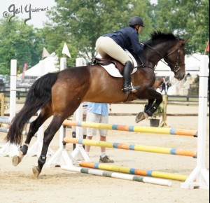 VFE Simply Stunning ridden by owner Mandy Steinhoff, Jumpers Upperville Colt and Horse Show