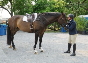 VFE Simply Stunning ridden by owner Mandy Steinhoff, Jumpers Upperville Colt and Horse Show