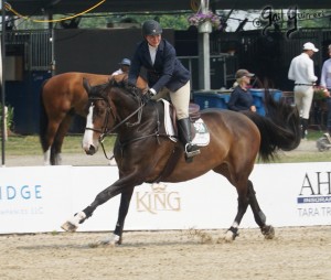 VFE Simply Stunning ridden by owner Mandy Steinhoff, Jumpers Upperville Colt and Horse Show