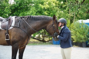 VFE Simply Stunning ridden by owner Mandy Steinhoff, Jumpers Upperville Colt and Horse Show