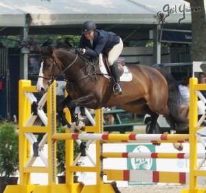 VFE Simply Stunning ridden by owner Mandy Steinhoff, Jumpers Upperville Colt and Horse Show