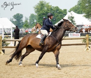 VFE Simply Stunning ridden by owner Mandy Steinhoff, Jumpers Upperville Colt and Horse Show