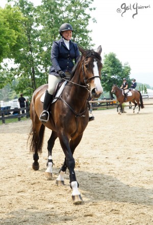 VFE Simply Stunning ridden by owner Mandy Steinhoff, Jumpers Upperville Colt and Horse Show