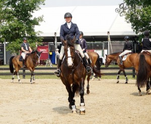 VFE Simply Stunning ridden by owner Mandy Steinhoff, Jumpers Upperville Colt and Horse Show