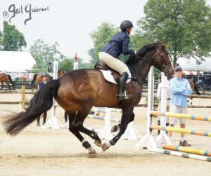 VFE Simply Stunning ridden by owner Mandy Steinhoff, Jumpers Upperville Colt and Horse Show