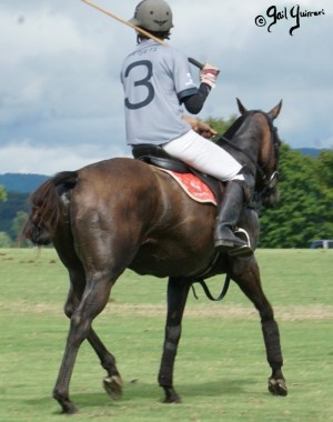 Mars Cup polo match presented by MARS EQUESTRIAN TM benefiting NSLM, 2022