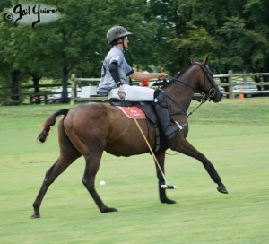 Mars Cup polo match presented by MARS EQUESTRIAN TM benefiting NSLM, 2022