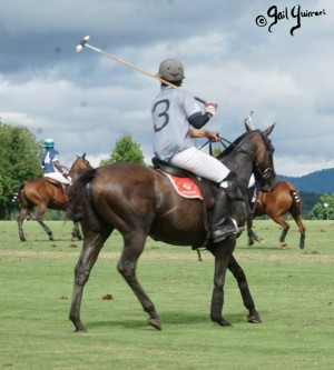 Mars Cup polo match presented by MARS EQUESTRIAN TM benefiting NSLM, 2022