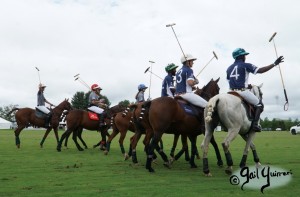 Mars Cup polo match presented by MARS EQUESTRIAN TM benefiting NSLM, 2022