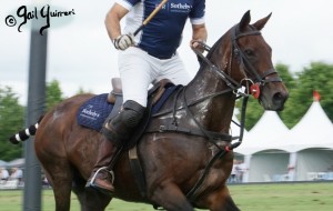 Mars Cup polo match presented by MARS EQUESTRIAN TM benefiting NSLM, 2022