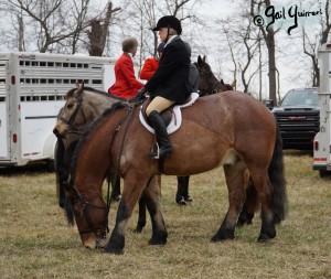 Middleburg Hunt at Tarleton