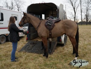 Middleburg Hunt at Tarleton