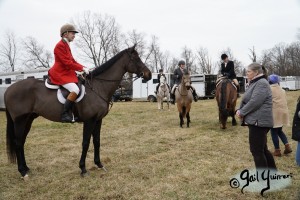 Middleburg Hunt at Tarleton