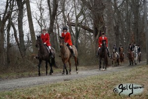 Middleburg Hunt at Tarleton