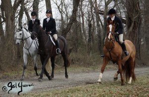 Middleburg Hunt at Tarleton