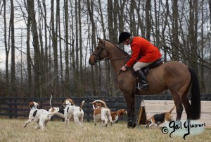 Middleburg Hunt at Tarleton