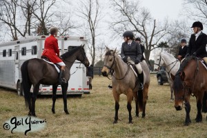 Middleburg Hunt at Tarleton