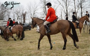 Middleburg Hunt at Tarleton