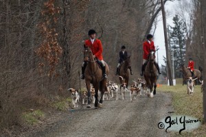 Middleburg Hunt at Tarleton