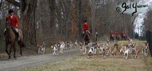 Middleburg Hunt at Tarleton