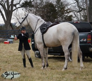 Middleburg Hunt at Tarleton