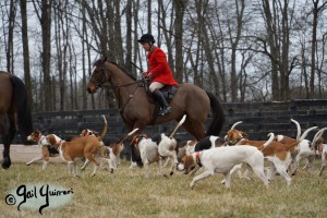 Middleburg Hunt at Tarleton