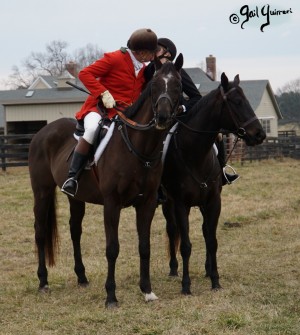 Middleburg Hunt at Tarleton