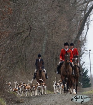 Middleburg Hunt at Tarleton