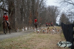 Middleburg Hunt at Tarleton