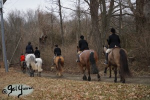 Middleburg Hunt at Tarleton