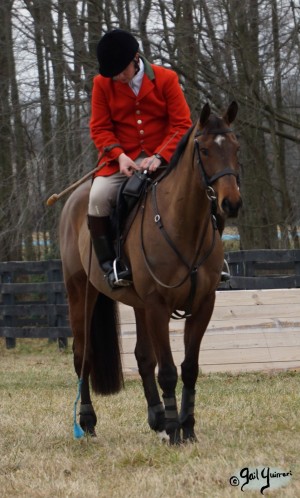 Middleburg Hunt at Tarleton