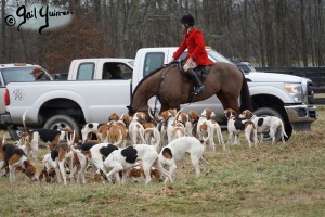 Middleburg Hunt at Tarleton