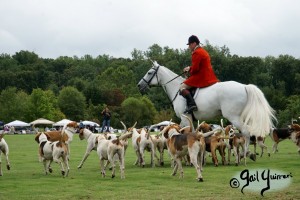 Hounds of Middleburg Hunt entertain the crowds at NSLM Polo Classic, 2022