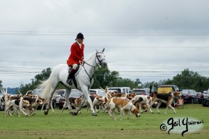 Hounds of Middleburg Hunt entertain the crowds at NSLM Polo Classic, 2022