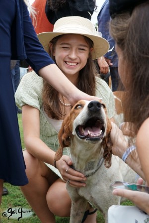 Hounds of Middleburg Hunt entertain the crowds at NSLM Polo Classic, 2022