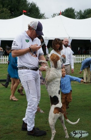 Hounds of Middleburg Hunt entertain the crowds at NSLM Polo Classic, 2022