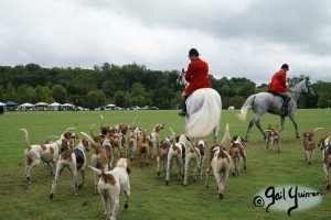 Hounds of Middleburg Hunt entertain the crowds at NSLM Polo Classic, 2022