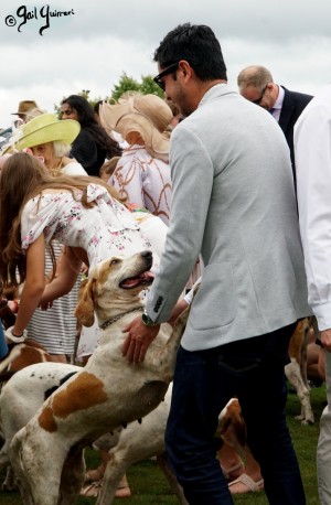 Hounds of Middleburg Hunt entertain the crowds at NSLM Polo Classic, 2022