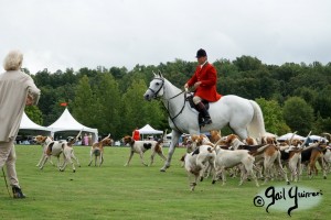 Hounds of Middleburg Hunt entertain the crowds at NSLM Polo Classic, 2022