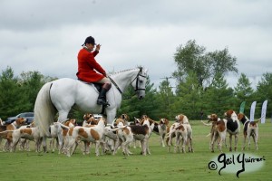 Hounds of Middleburg Hunt entertain the crowds at NSLM Polo Classic, 2022