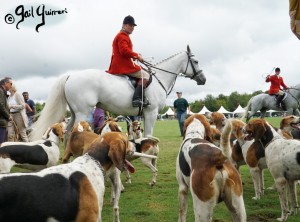 Hounds of Middleburg Hunt entertain the crowds at NSLM Polo Classic, 2022