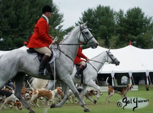 Hounds of Middleburg Hunt entertain the crowds at NSLM Polo Classic, 2022