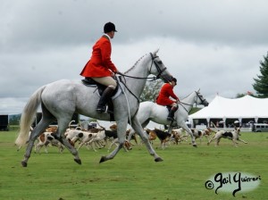 Hounds of Middleburg Hunt entertain the crowds at NSLM Polo Classic, 2022