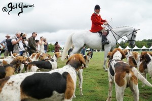 Hounds of Middleburg Hunt entertain the crowds at NSLM Polo Classic, 2022