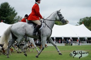 Hounds of Middleburg Hunt entertain the crowds at NSLM Polo Classic, 2022