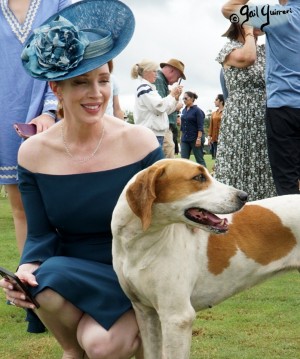 Hounds of Middleburg Hunt entertain the crowds at NSLM Polo Classic, 2022