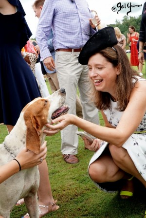 Hounds of Middleburg Hunt entertain the crowds at NSLM Polo Classic, 2022